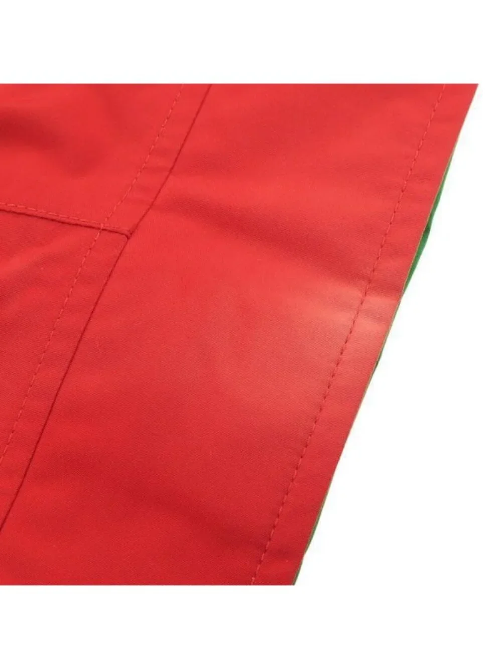 Gucci North Face Pants
